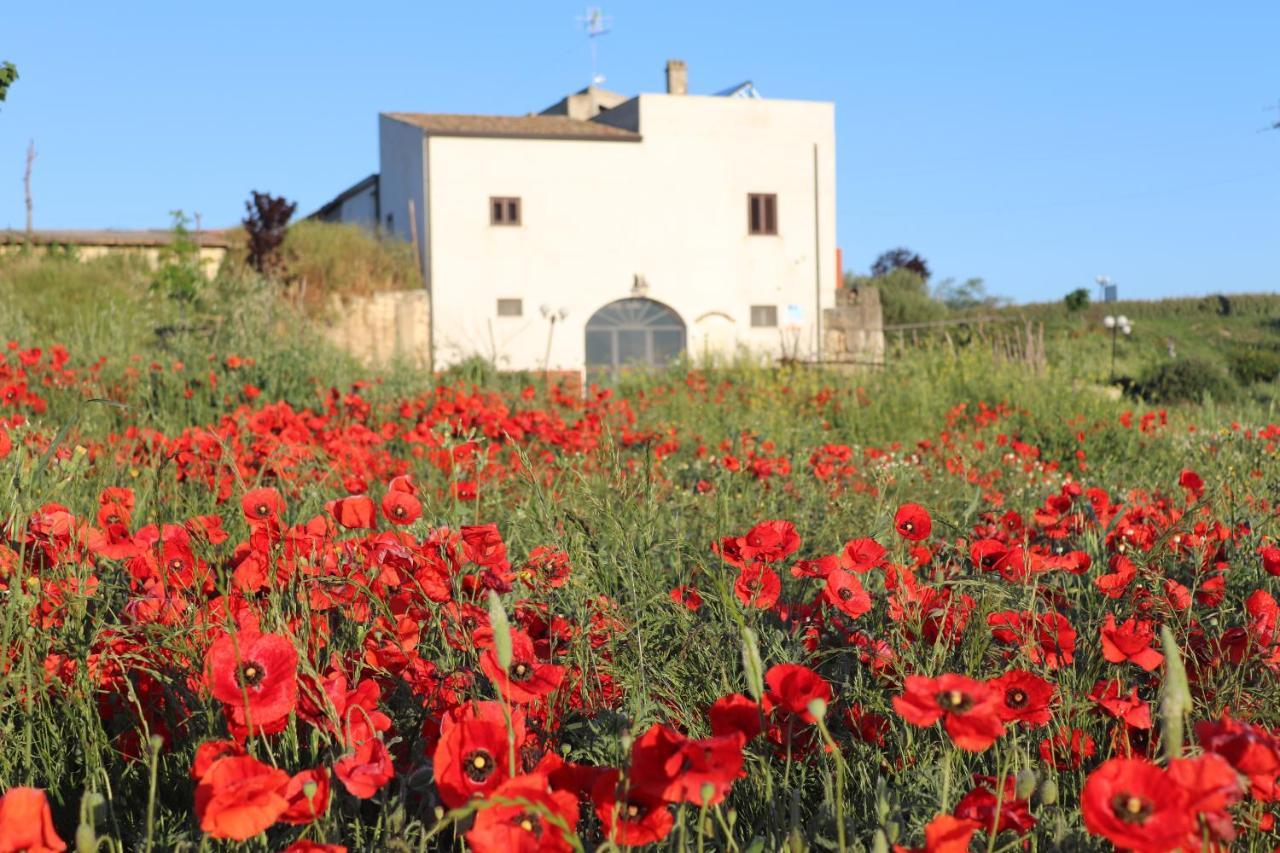 Masseria Agriturismo Moschella Posta Piana Exteriör bild