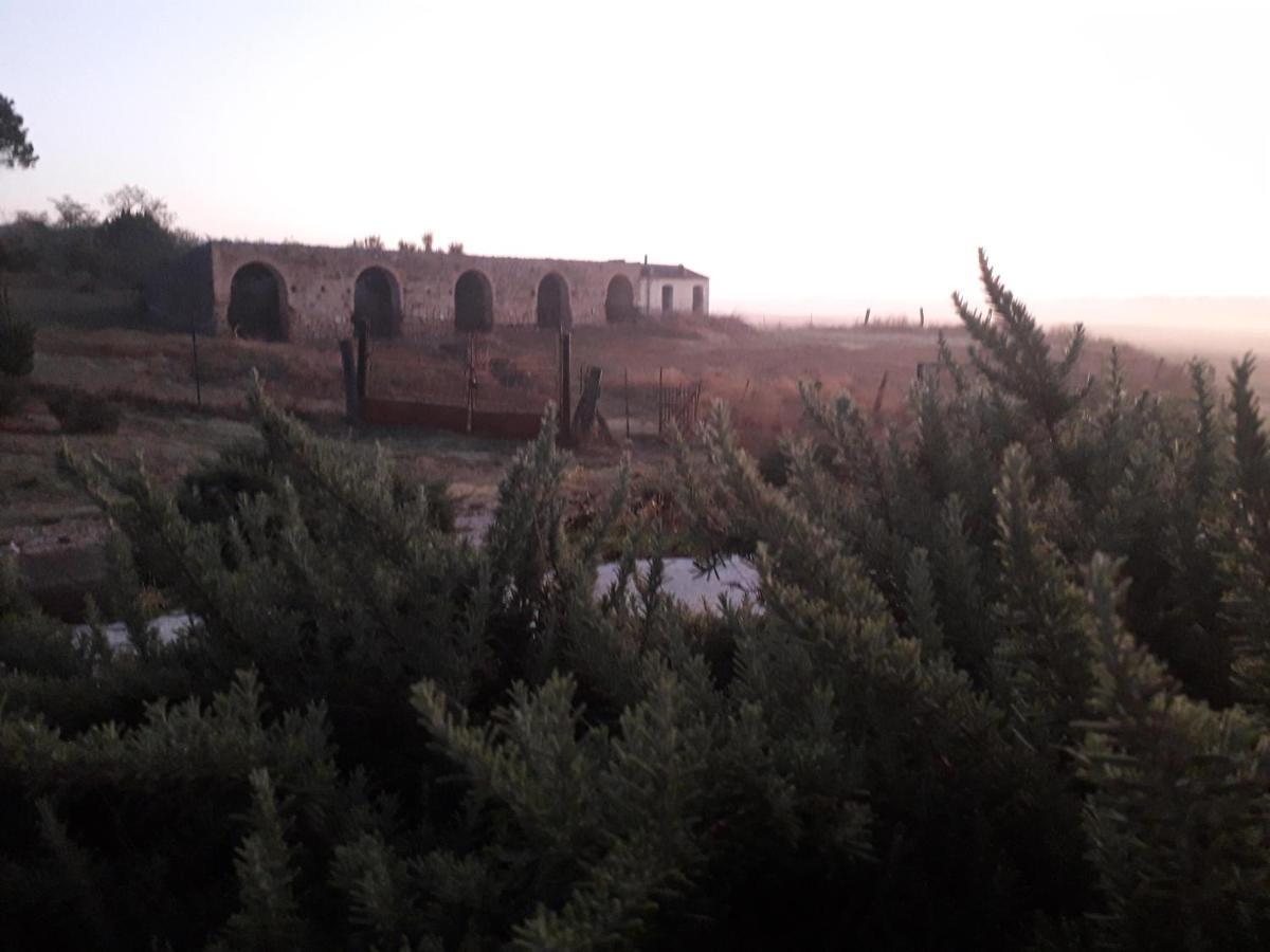 Masseria Agriturismo Moschella Posta Piana Exteriör bild